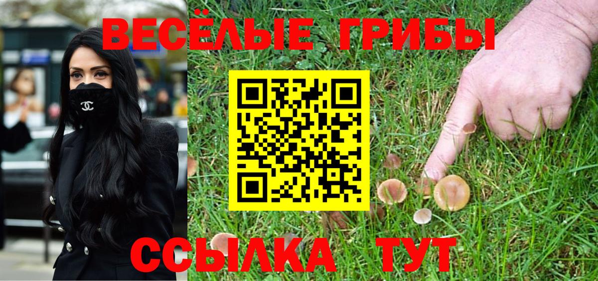 Псилоцибиновые грибы мухоморы Гагарин