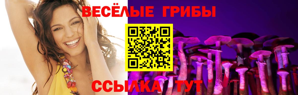 Псилоцибиновые грибы мухоморы  Вход с VPN  Гагарин  Псилоцибиновые грибы мицелий 